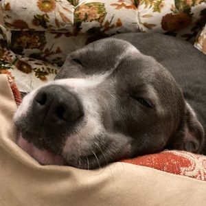 Meet your Posher, Walker